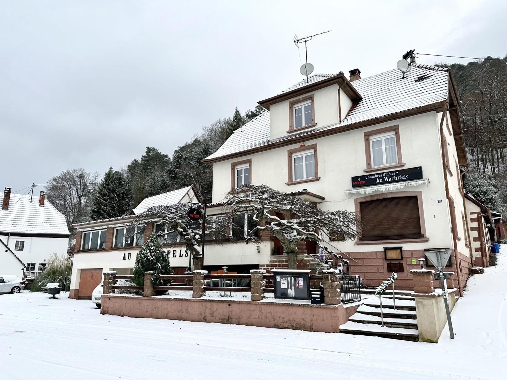 Au Wachtfels Bed & Breakfast Obersteinbach Exterior foto
